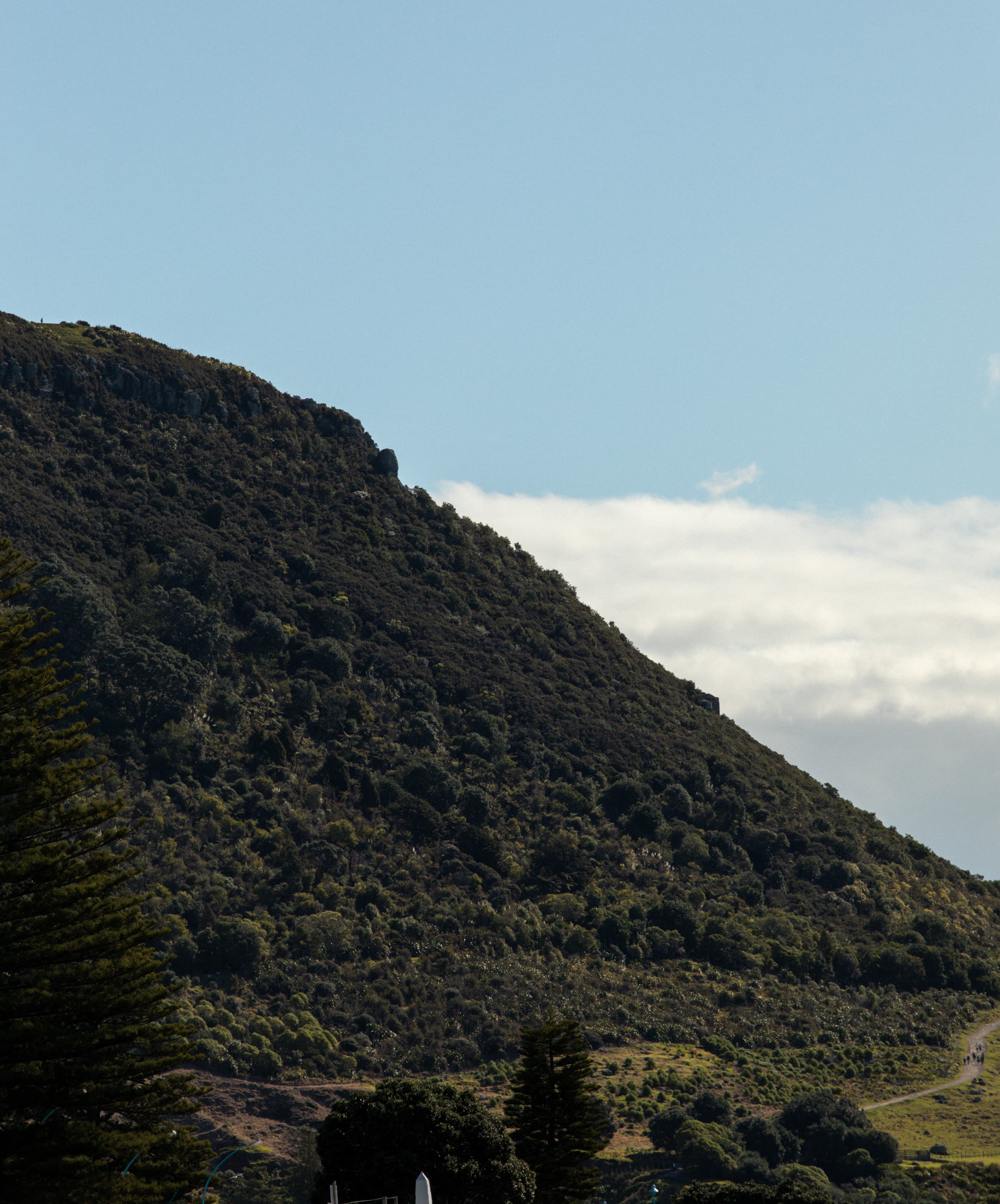 Aotearoa New Zealand headland at first light