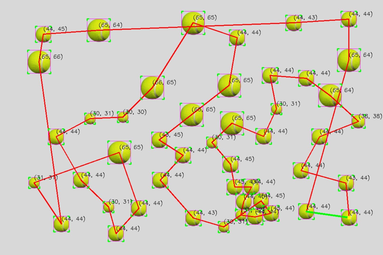 AI vision identifying and classifying fruit on the branch